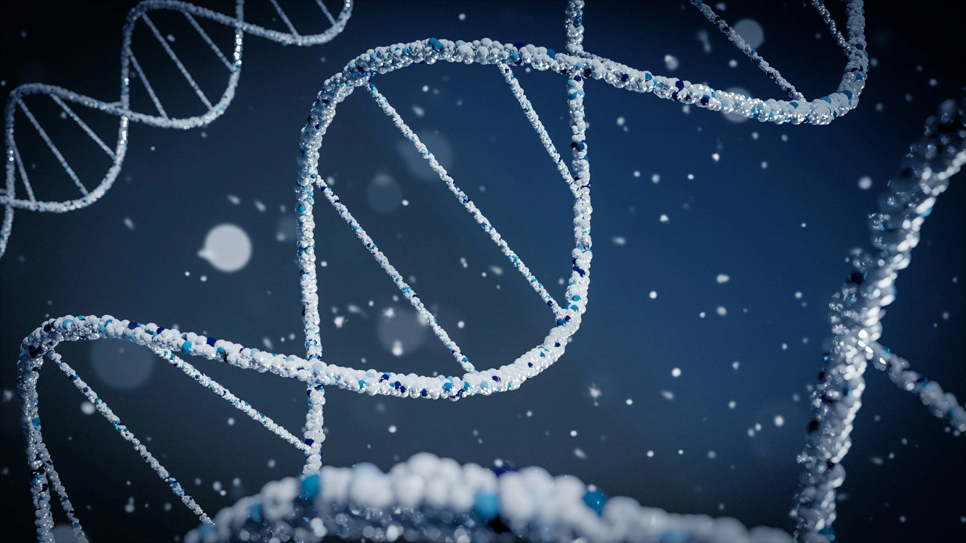 Cardiovascular Genetic Testing & Clinical Integration